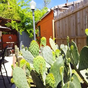 Don Tomas Mexican Grill