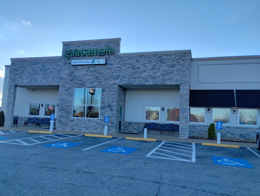 Guacamole grill-4