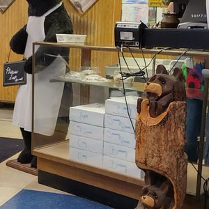 Hungry Bear-2