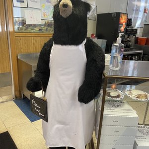 Hungry Bear-5