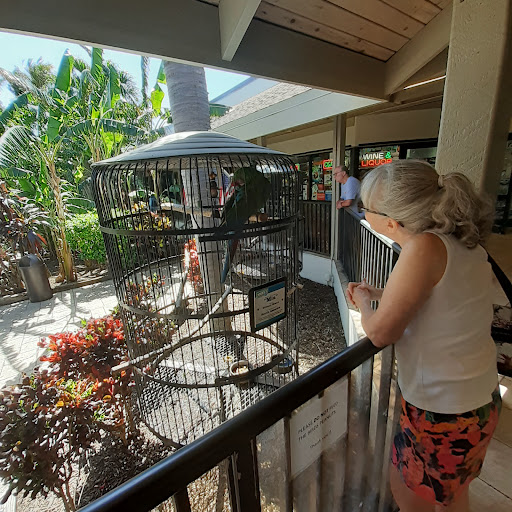 Jerry's Foods Of Sanibel-5