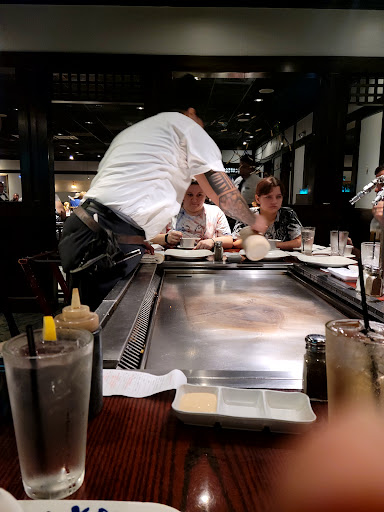 Miyabi Savannah-3