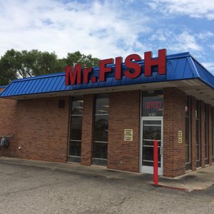 Mr Fish-2