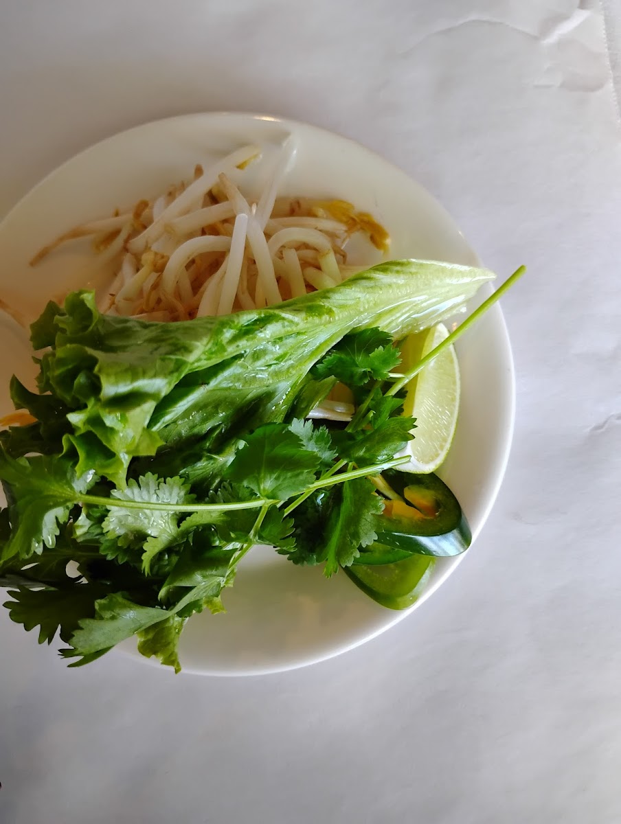 Pho Ginger-5