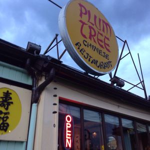 Plum Tree Chinese Restaurant-3