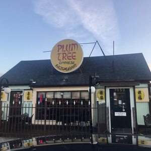 Plum Tree Chinese Restaurant-4