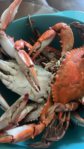 Ruff N Ready Crab House-5