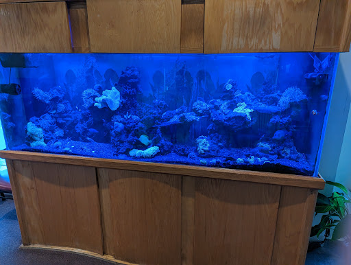 Sunflower Restaurant-3