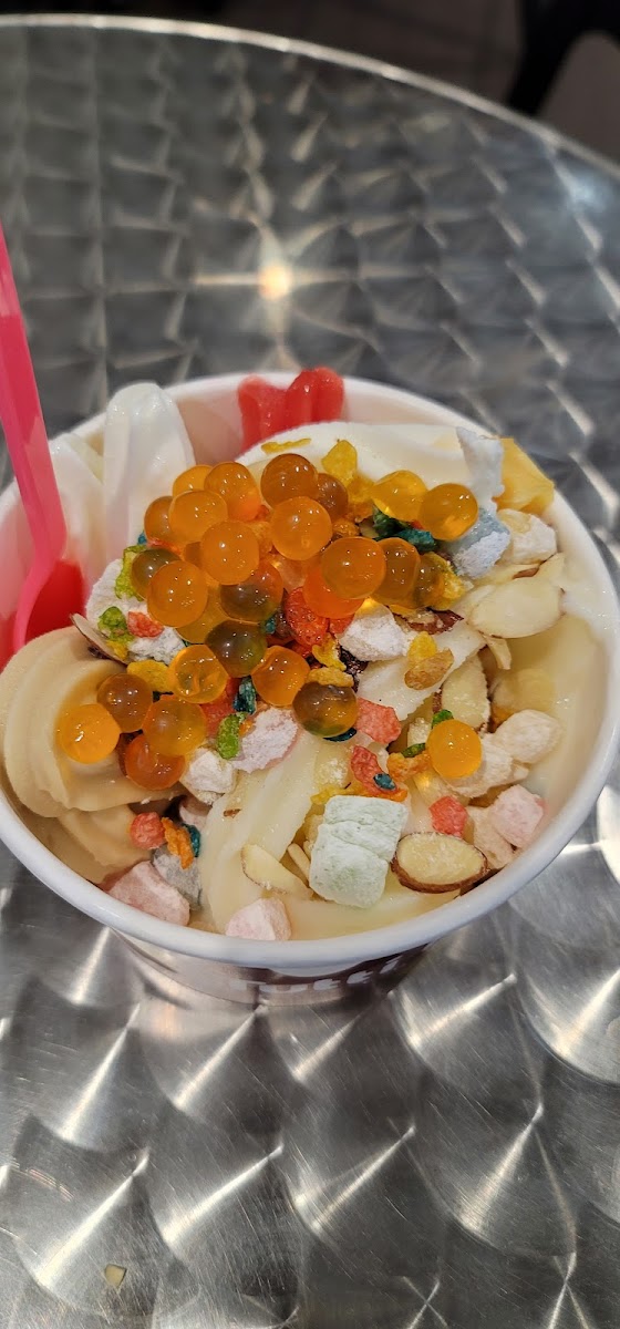 Tutti Frutti Frozen Yogurt-4