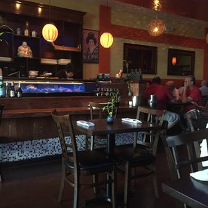 Wild Ginger-4